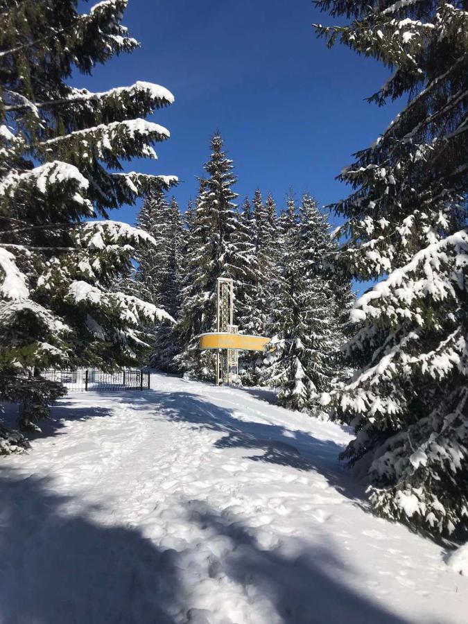 Hotel Novoe Shale Яблуниця Екстериор снимка